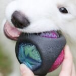 Dog toy ball - Image 7