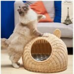 Rattan cat litter - Image 4