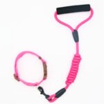 Pet Leash Dog Collar, Dog Leash, Dog Chain - Image 3