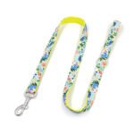New Dog Leash, Big Dog Leash, Dog Leash, Pet Collar, Medium-sized Dog, Dog Leash, Dog Chain, Collar Set - Image 7