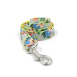 New Dog Leash, Big Dog Leash, Dog Leash, Pet Collar, Medium-sized Dog, Dog Leash, Dog Chain, Collar Set - Image 4