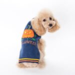 Pumpkin Sweater Dog Clothes Halloween - Image 8