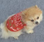 Dog Christmas Costume Sweatshirt Vest Clothes - Image 6