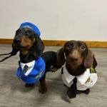 Dachshund Dog Funny Clothes Halloween Suit - Image 2