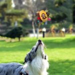 Pet Dog Vocal Plush Toy Ringing Bell Ball - Image 2