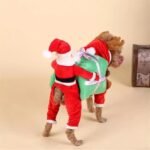 Halloween dog clothes - Image 3