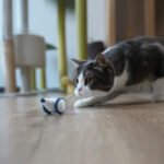 Cat Electric Mouse Cat Toy Boredom Artifact Automatic Intelligent - Image 3