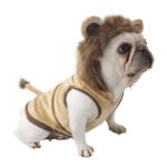 Dog Lion Clothes Pet Supplies Halloween Cat Clothes - Image 3