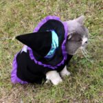 Christmas Wizard Pet Halloween Dog Clothes Pet Clothes - Image 3