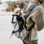 Pet Dog Carrier Bag Carrier For Dogs Backpack Out Double Shoulder Portable Travel Backpack Outdoor Dog Carrier Bag Travel - Image 6