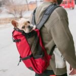 Pet Dog Carrier Bag Carrier For Dogs Backpack Out Double Shoulder Portable Travel Backpack Outdoor Dog Carrier Bag Travel - Image 5