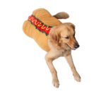 Pet Dog and Cat Costume, Cute Hot Dog Sandwich Costume, Funny Hot Dog Clothes, Cat Costume - Image 3