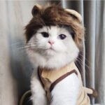 Dog Lion Clothes Pet Supplies Halloween Cat Clothes - Image 2