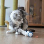 Cat Electric Mouse Cat Toy Boredom Artifact Automatic Intelligent - Image 5