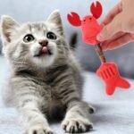 Cat Toy Kitten Toys Teeth Cleaning Toys Silvervine Sticks Cat Silvervine Stick Chew Sticks For Cats Cat Interaction Toys Kitten Plaything Cat Teaser Polygonum Wood The Cat