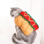 Pet Dog and Cat Costume, Cute Hot Dog Sandwich Costume, Funny Hot Dog Clothes, Cat Costume - Image 7